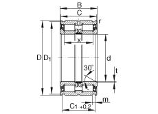 圆柱滚子轴承 SL04260-PP, 定位轴承，双列，满装圆柱滚子，轻系列，带环形槽，两侧唇密封
